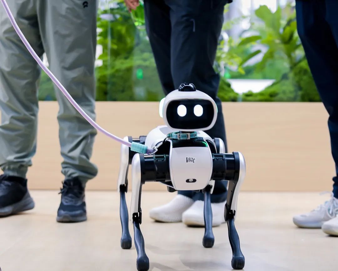 维他动力机器人