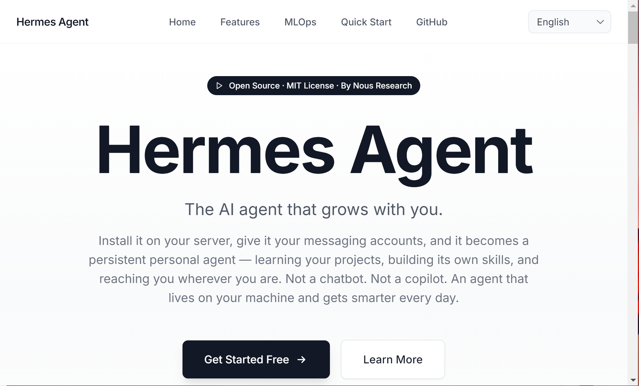 Hermes Agent