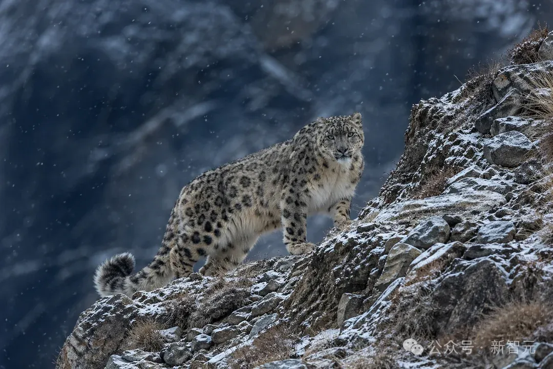 GPT Image 2 全面介绍：新一代图像AI如何重塑视觉创作